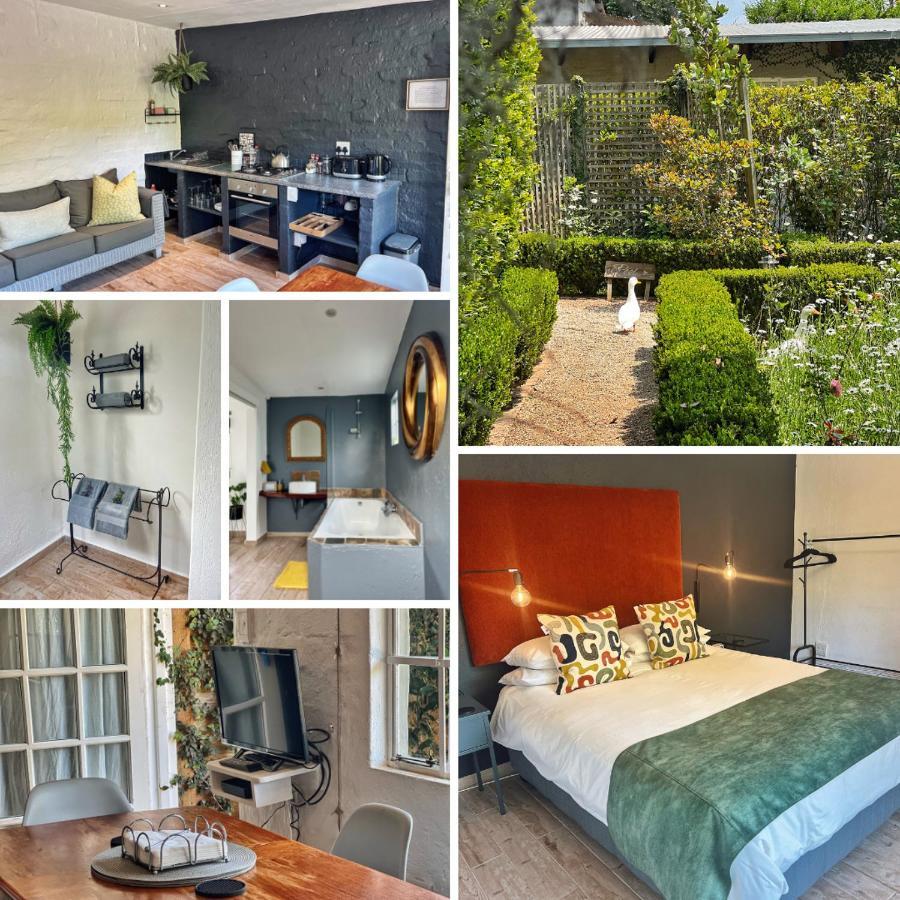 Chocolate Orchid Guest house *