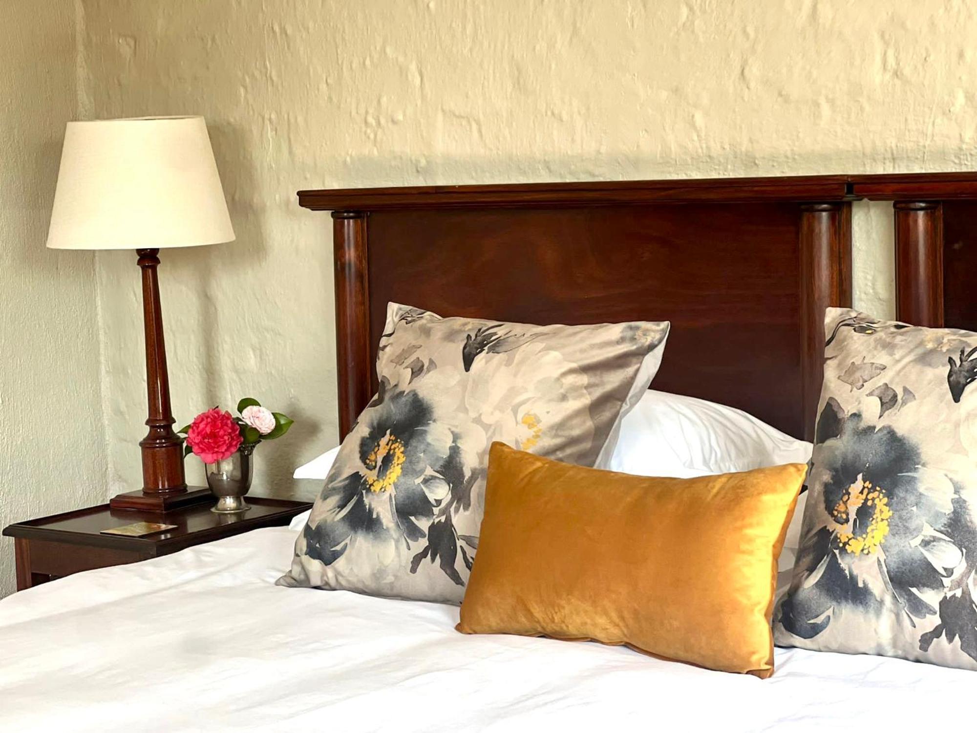 Chocolate Orchid Guest house